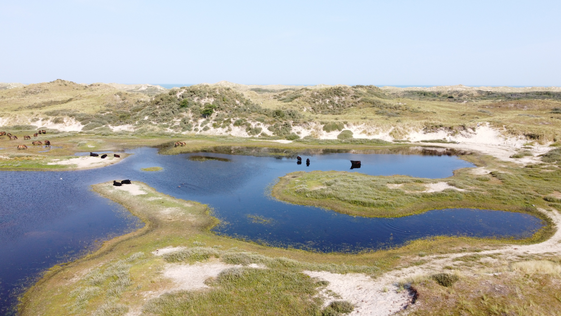 Terschelling