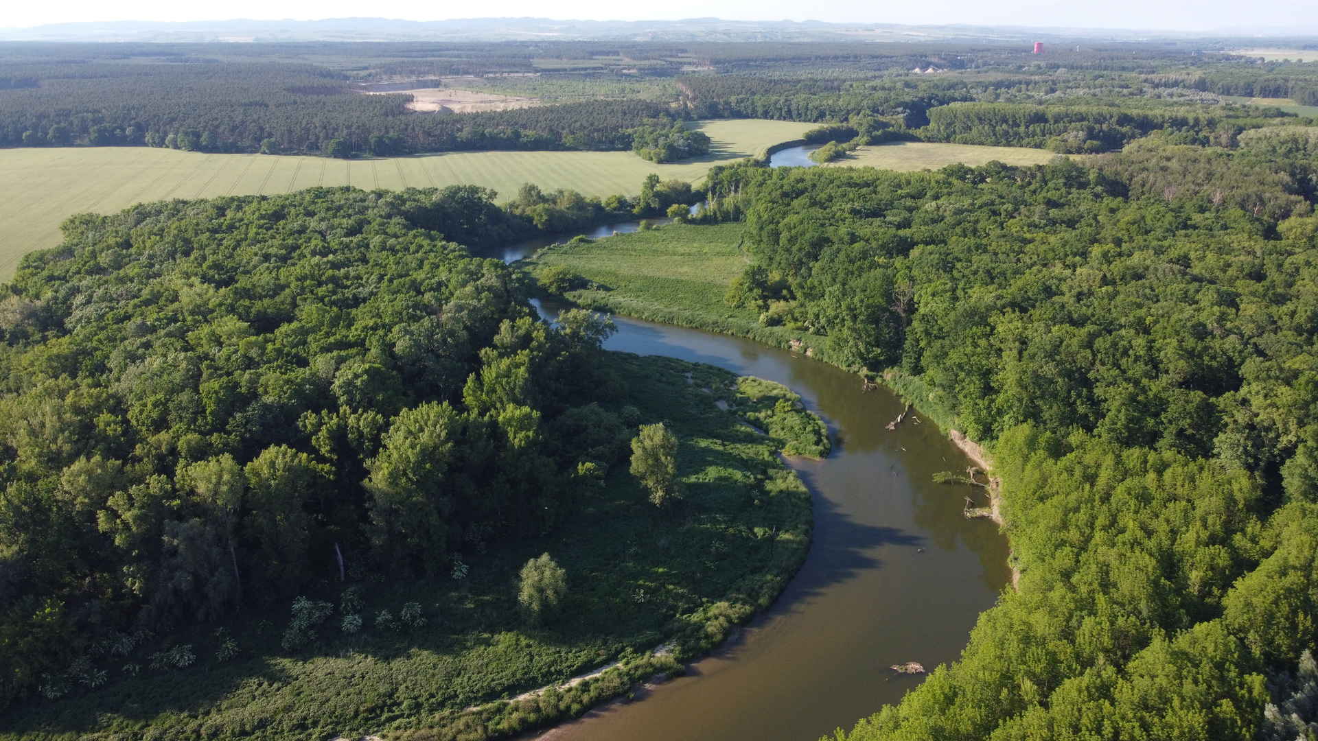 Reka Morava u Petrova